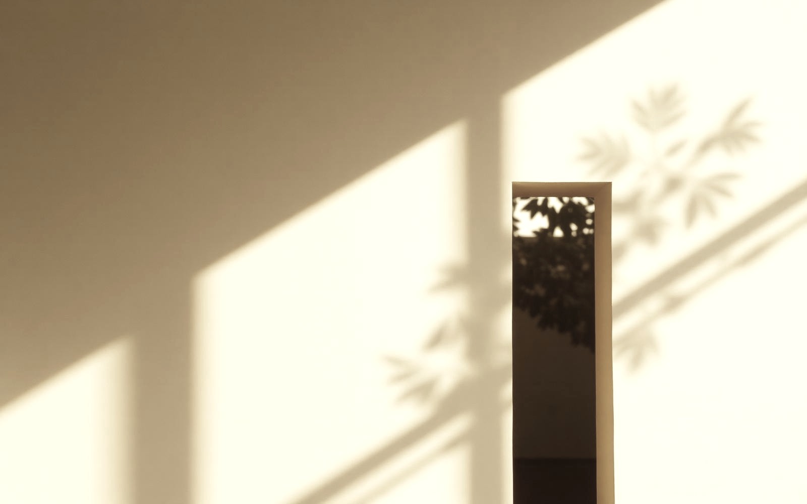 Luz natural sobre uma parede clara